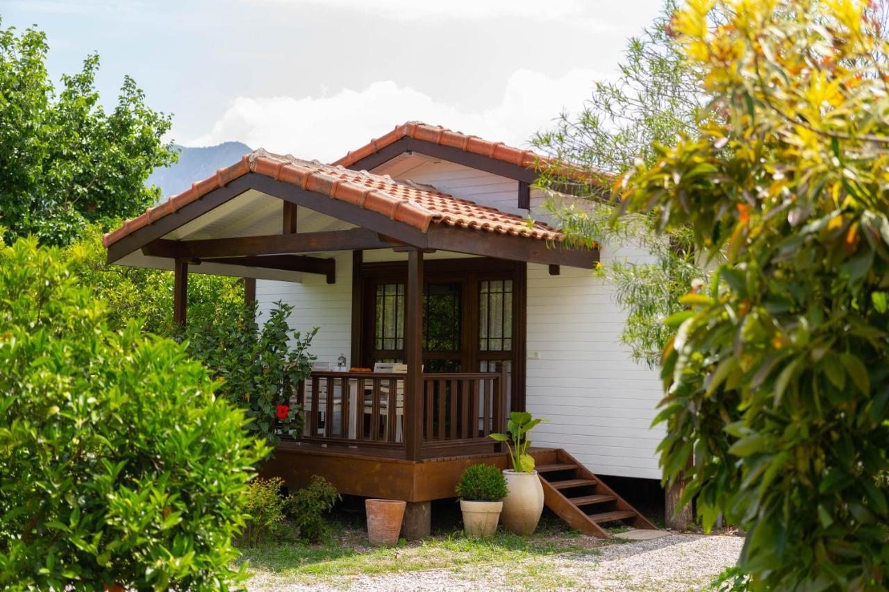 Kimera - Akdeniz Bahcesi Apart Hotel Çıralı Luaran gambar