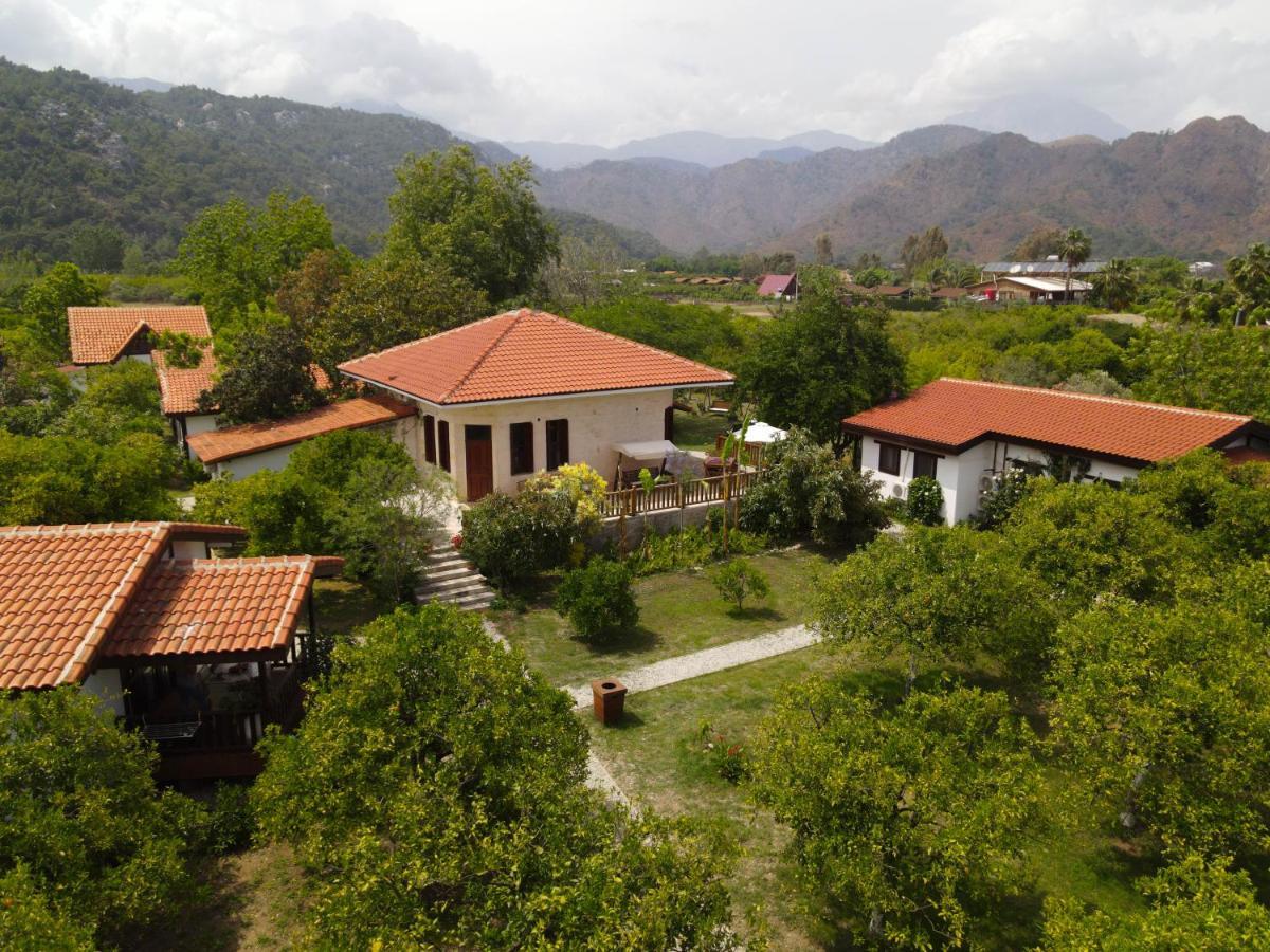 Kimera - Akdeniz Bahcesi Apart Hotel Çıralı Luaran gambar