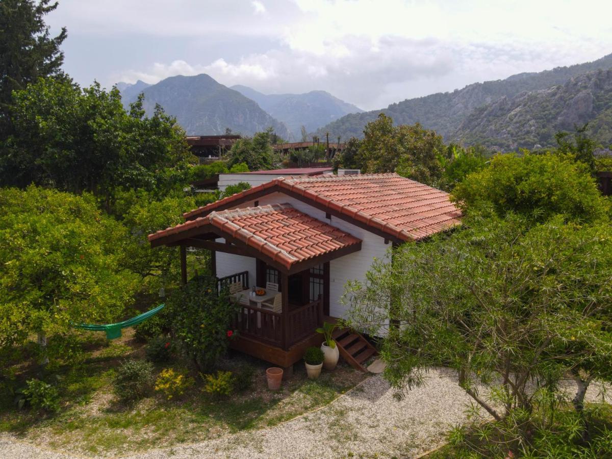 Kimera - Akdeniz Bahcesi Apart Hotel Çıralı Luaran gambar