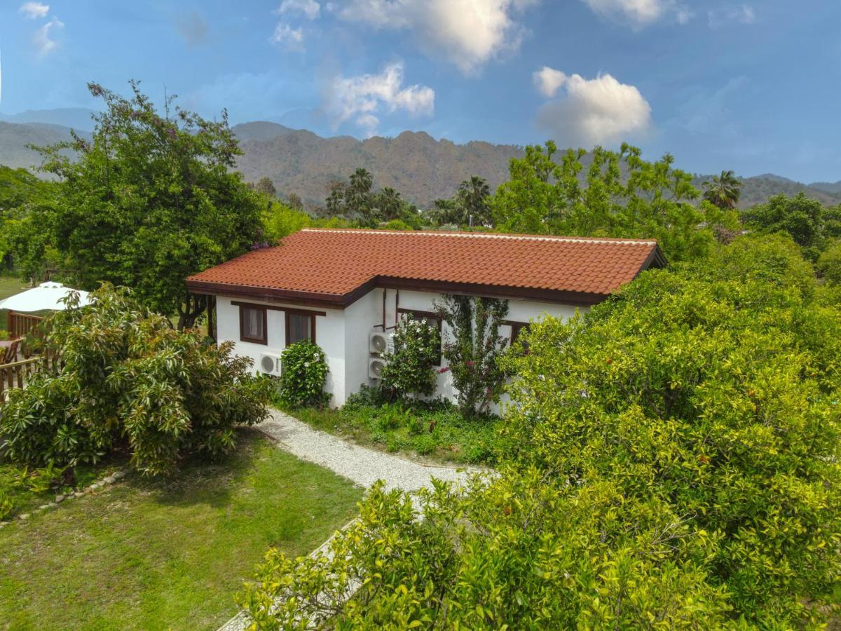 Kimera - Akdeniz Bahcesi Apart Hotel Çıralı Luaran gambar